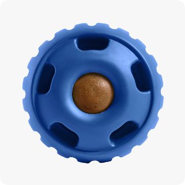 WOOF toy