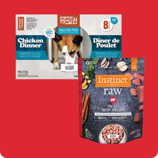 dog fresh and frozen food