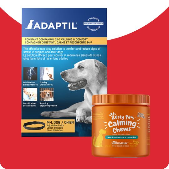 calming products for dog