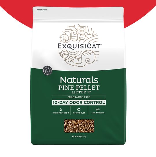 exquisicat cat litter