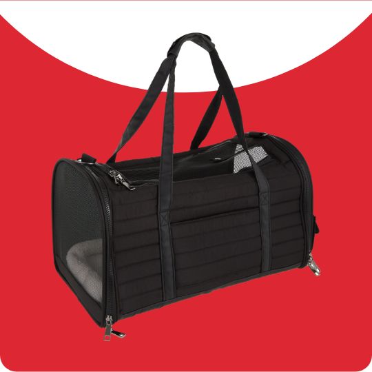 dog travel carrier