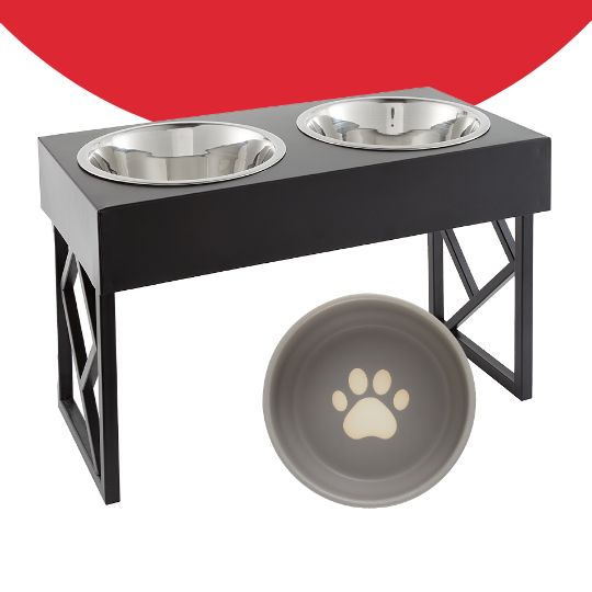 dog bowls