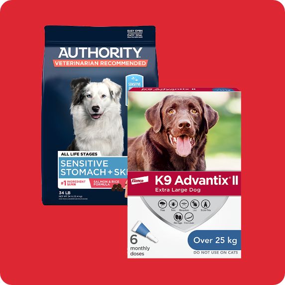 Dog food and flea/tick medication