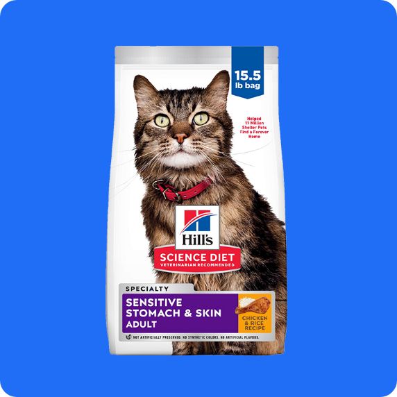 Cat food