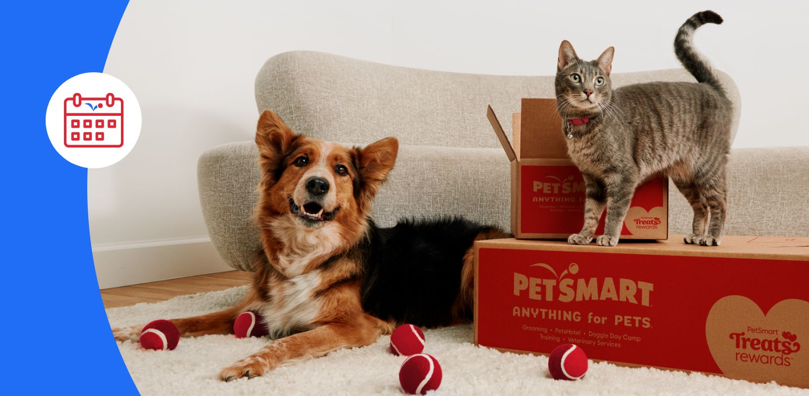 dog and cat sitting next to a petsmart box