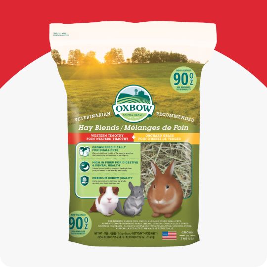 Oxbow small pet hay