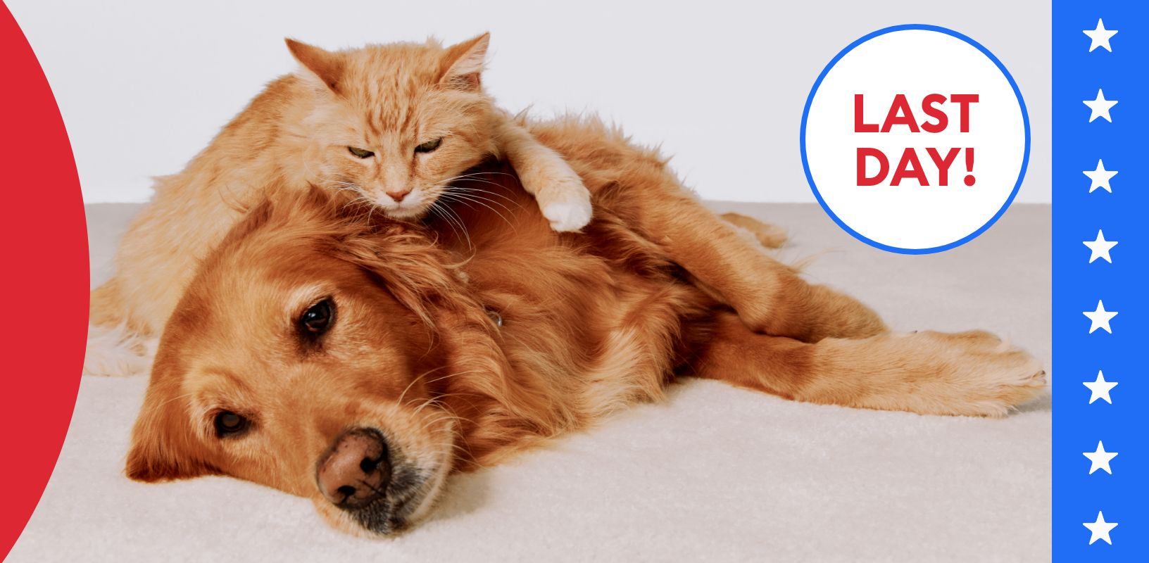 A cat laying on top of a dog and a blue stripe with white star graphics with a last day callout
