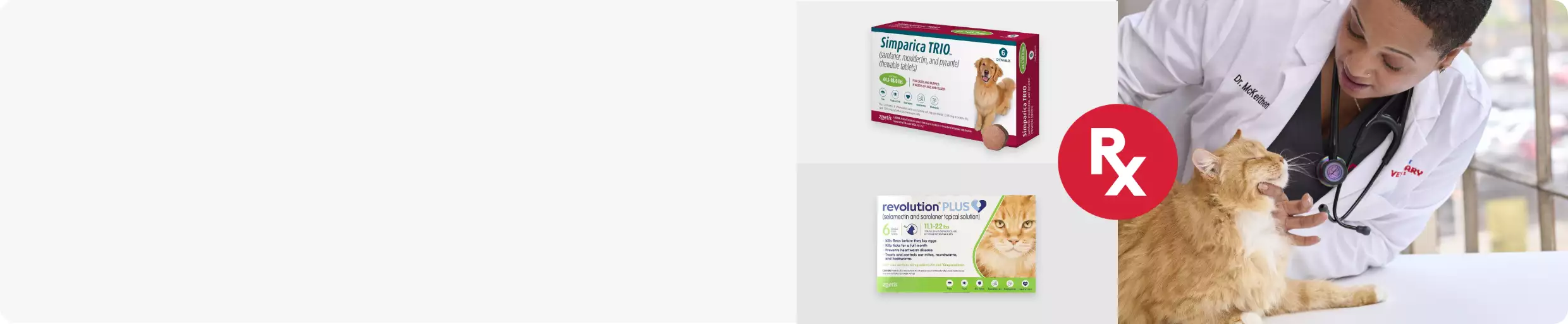 Rx icon, two pharmacy items and a vet checking a cat
