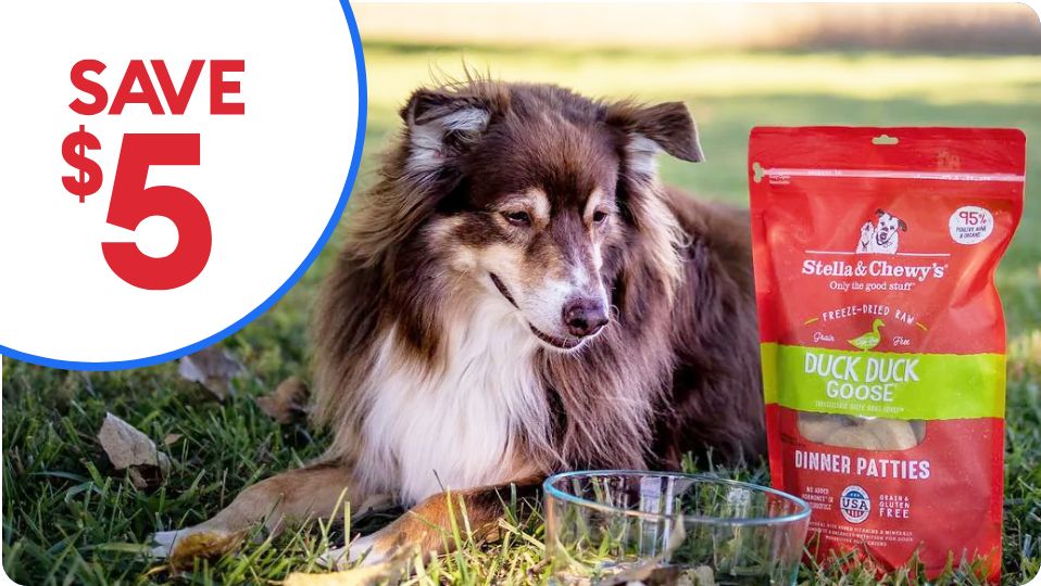 Save $5 callout and a dog laying next to a bowl and package of Stella & Chewy's food