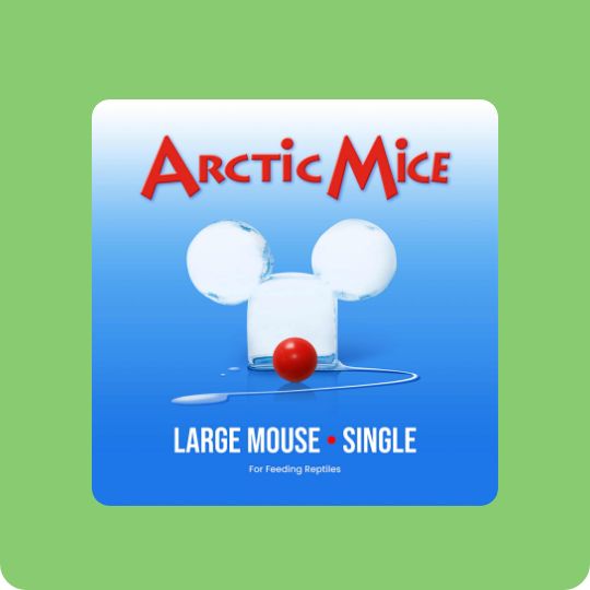 Arctic Mice Frozen Large Mice