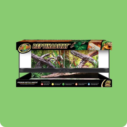 ZooMed ReptiHabitat Bearded Dragon Terrarium Kit