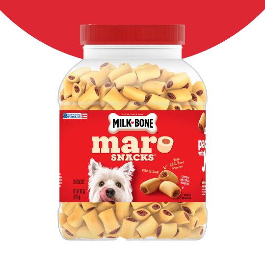Container of Milk-Bone dog treats