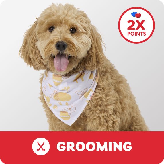 2X points callout, Grooming logo and a dog wearing a summer bandana