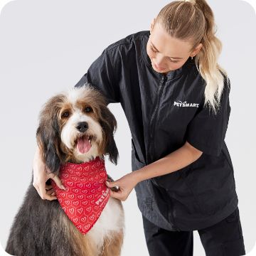 Salon associate putting a bandana on a dog