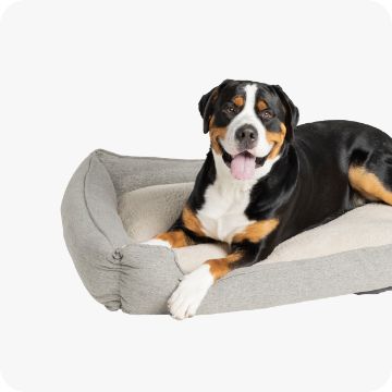 Top Paw cuddler dog bed