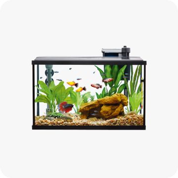 Top Fin Essentials Aquarium Starter Kit
