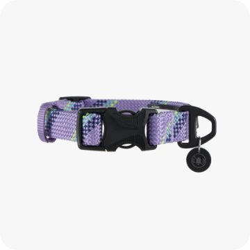 Arcadia Trail Paracord Rope Dog Collar