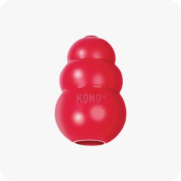 Red KONG toy