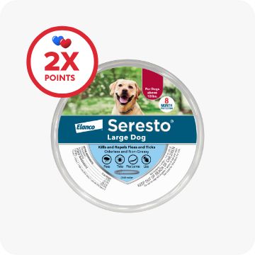 Seresto dog collar