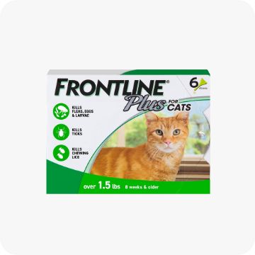 Frontline Plus Cat Flea & Tick Treatment