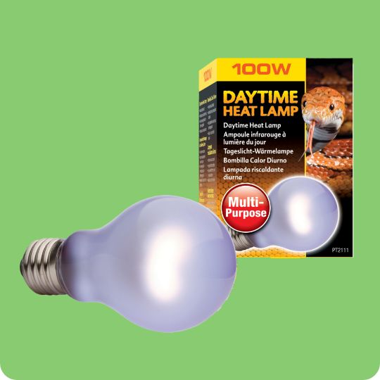 Exo Terra Sun Glo Daylight Reptile Terrarium Lamp