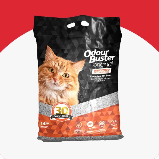 Odour Buster Original Cat Litter
