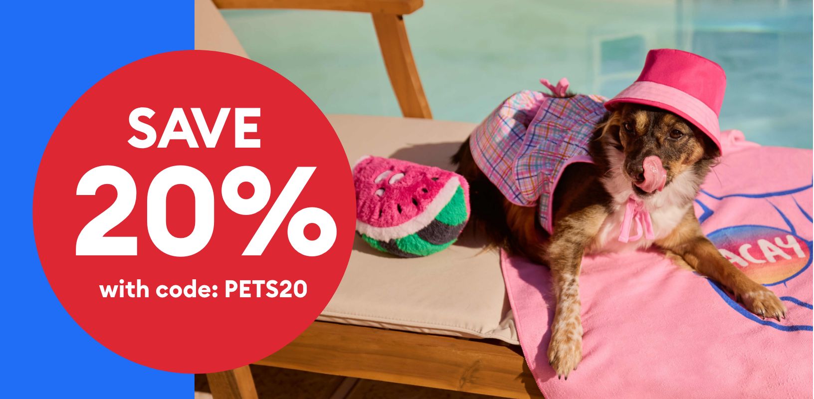 Dog laying on a blanket by a pool & plush toy wearing a dress and bucket hat
