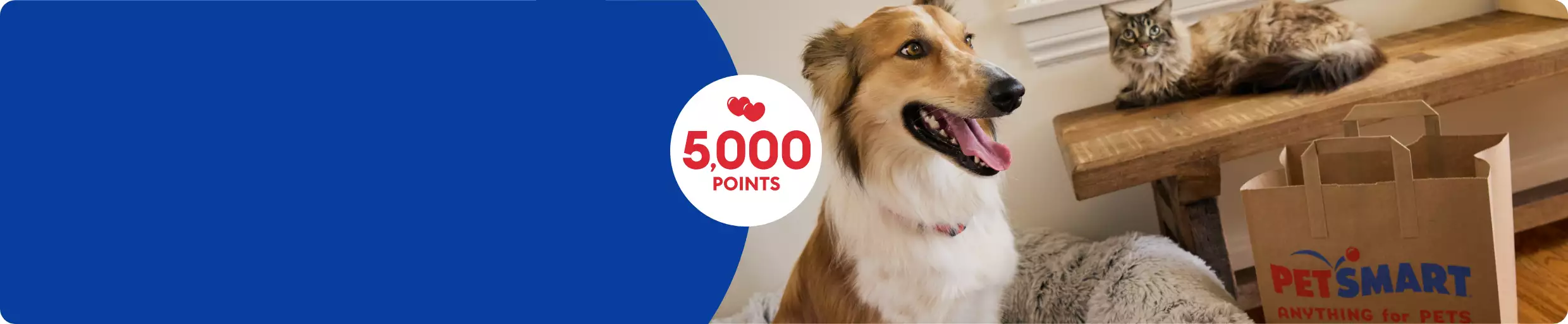 ALT TAG: 5,000 points callout and a dog laying next to a PetSmart shopping bag