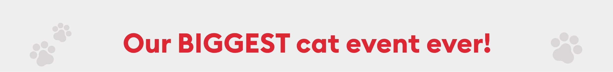 Our Biggest cat event ever