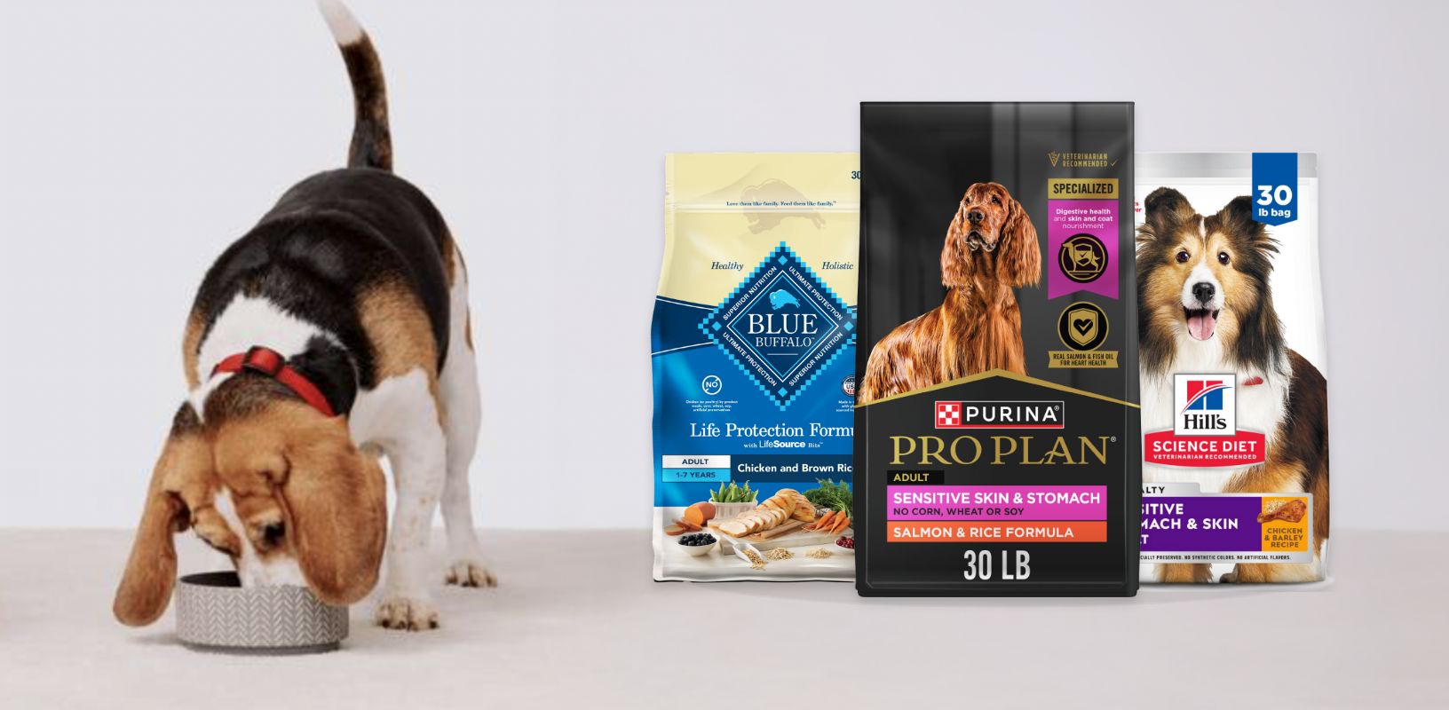 Dog eating out of a bowl and three bags of dog food