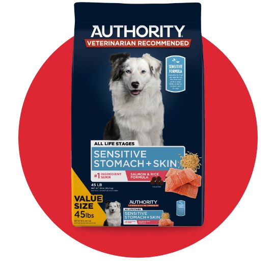 Bag of Authority dog food