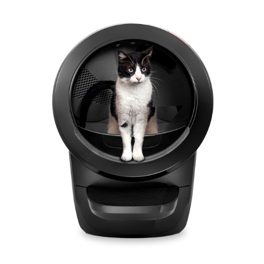 Cat standing in a Litter-Robot