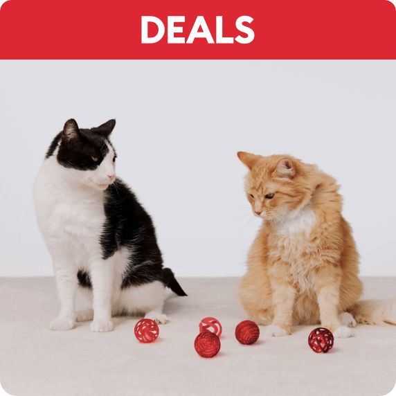 Two cats standing with several red toys and a Deals callout