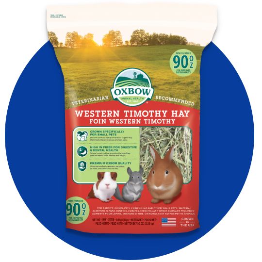 Oxbow Western Timothy Hay		