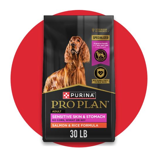 Bag of Purina Pro Plan dog food