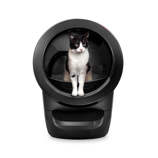 Cat standing in a Litter-Robot