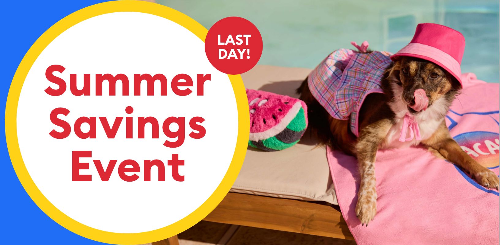 Summer Savings Event callout, a dog laying by the pool on a towel & a last day callout