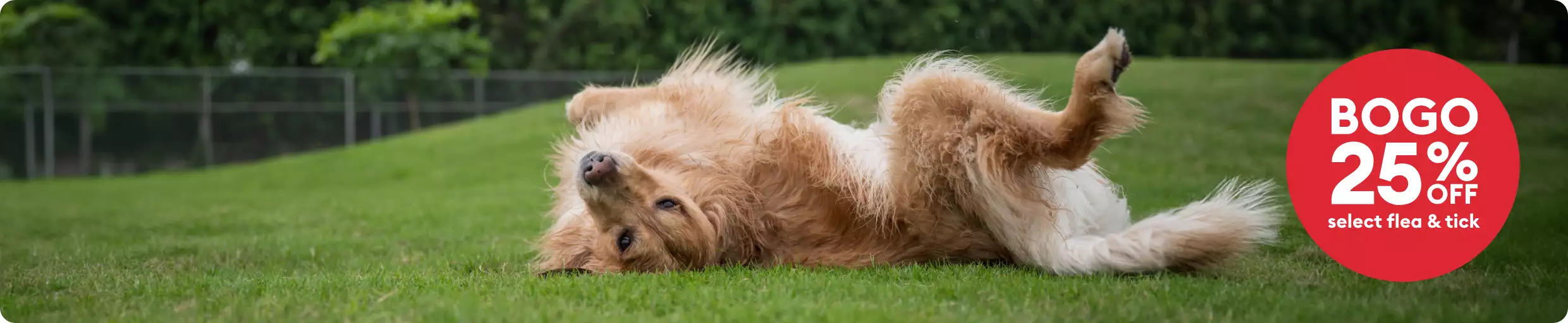 BOGO 25% OFF ALL flea & tick callout and a dog rolling around outside in the grass