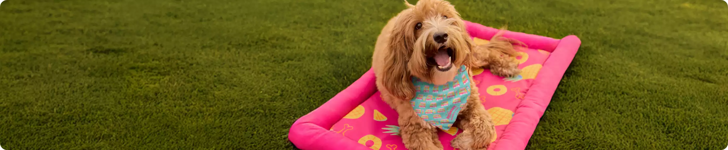Dog laying on a cooling pad in the grass