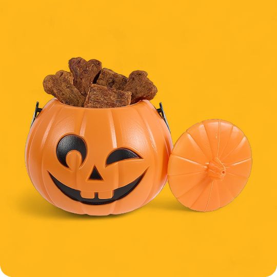Plastic Halloween pumpkin filled with dog treats