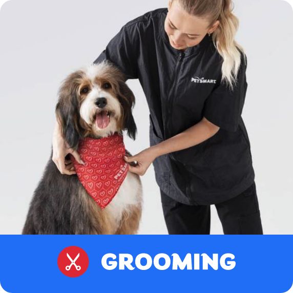 Grooming Salon logo and a Pet Stylist adjusting a bandana on a dog