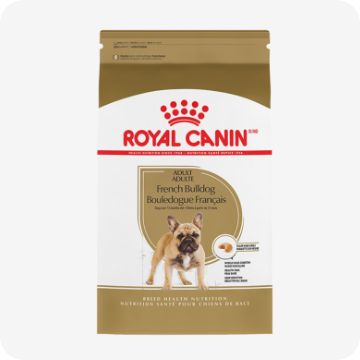 Bag of Royal Canin dog food