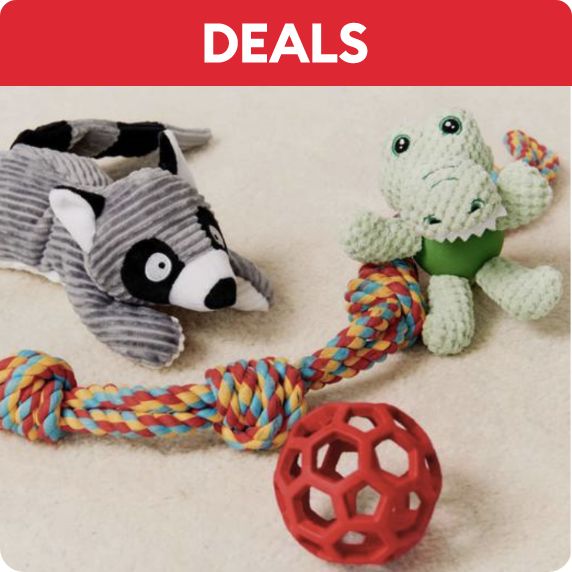 Variety of toys