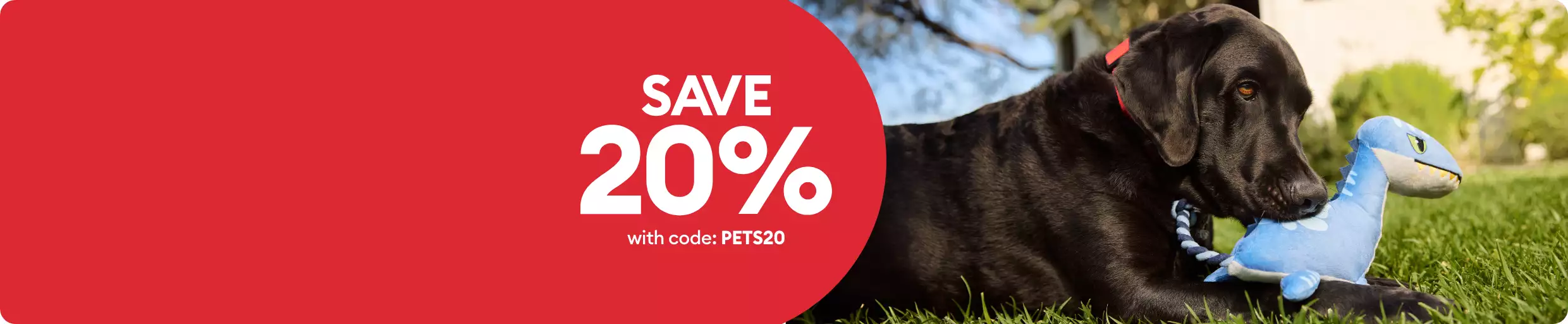 Save 20% callout and a dog laying outside in the grass with a plush toy 