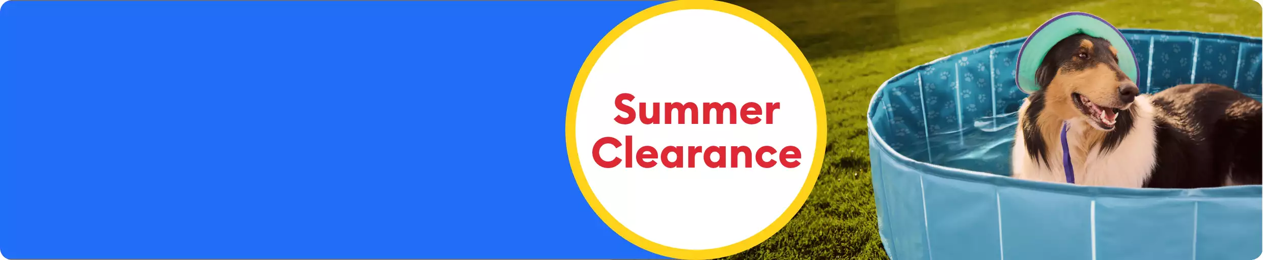 Summer Clearance callout and a dog wearing a hat, sitting in a pool outside