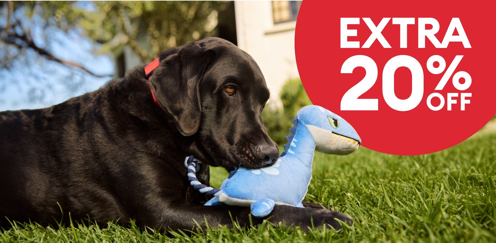 Extra 20% off callout and a dog laying in the grass outside with a plush toy in their mouth