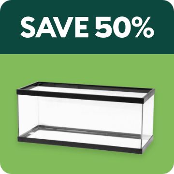 SAve 50% text; open-glass aquarium