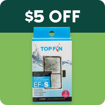 $5 off text; aquatic media