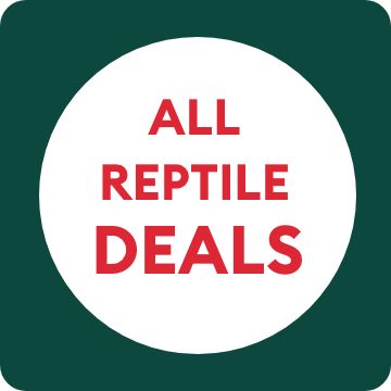 All reptile deals text