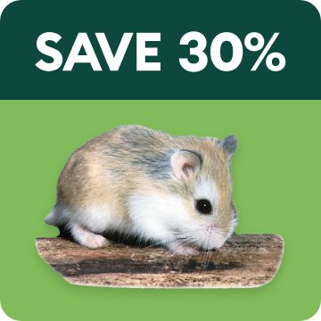 Save 30% text; hamster